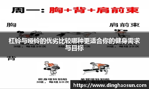 杠铃与哑铃的优劣比较哪种更适合你的健身需求与目标